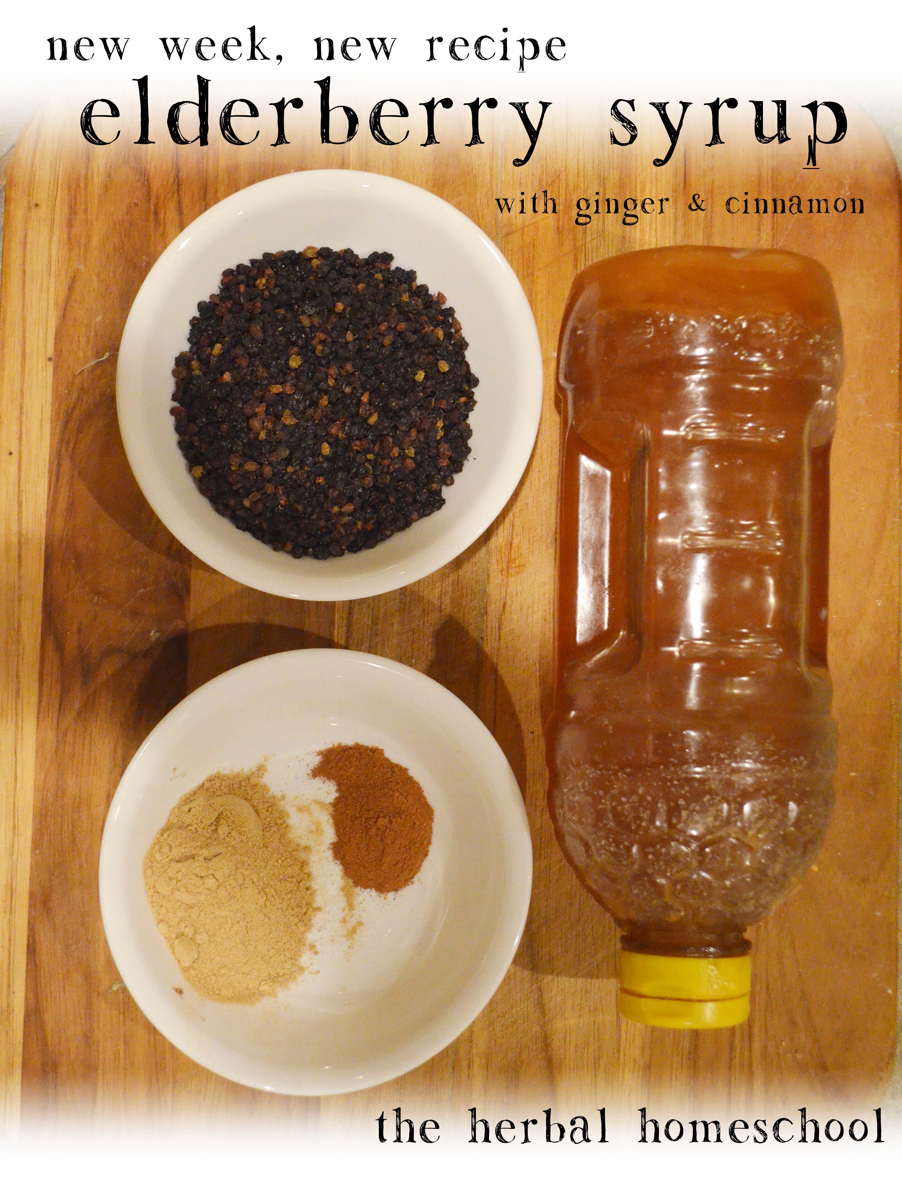 Elderberry Syrup Recipe & Tips The Herbal Homeschool