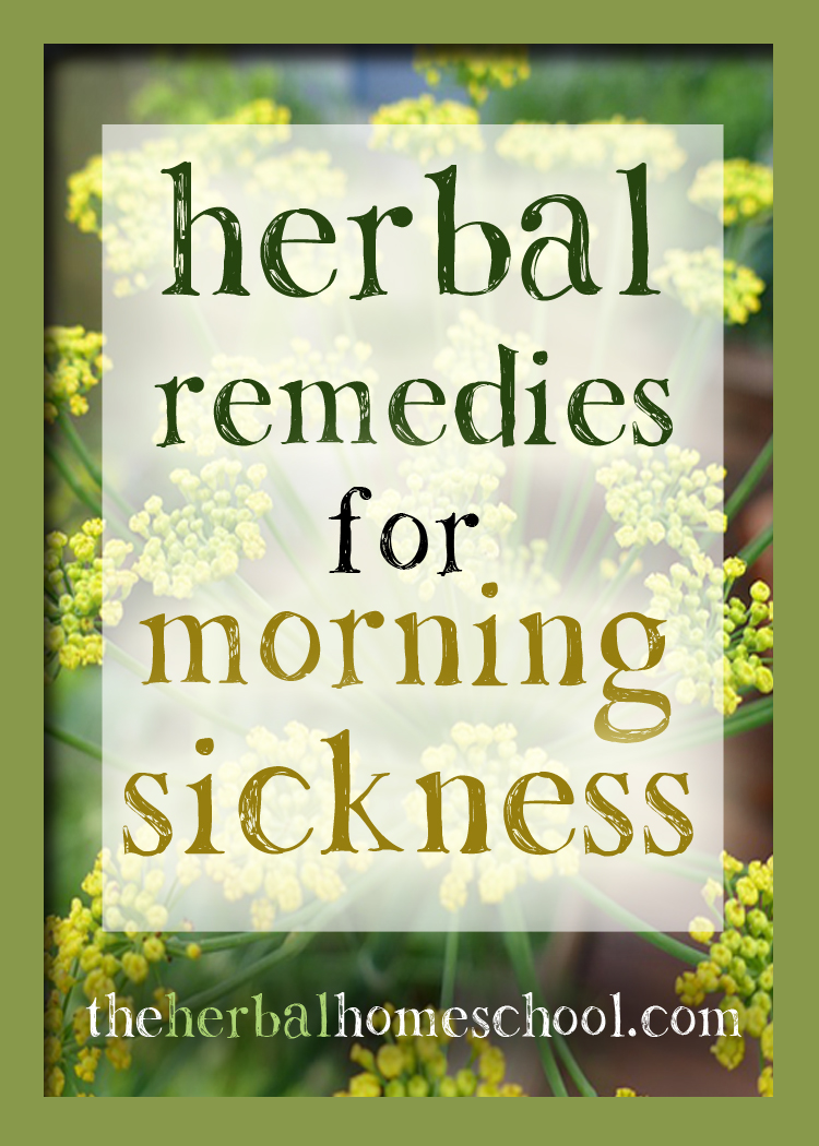 Teas/Infusions - The Herbal Homeschool - Morning Sickness Remedies Tea